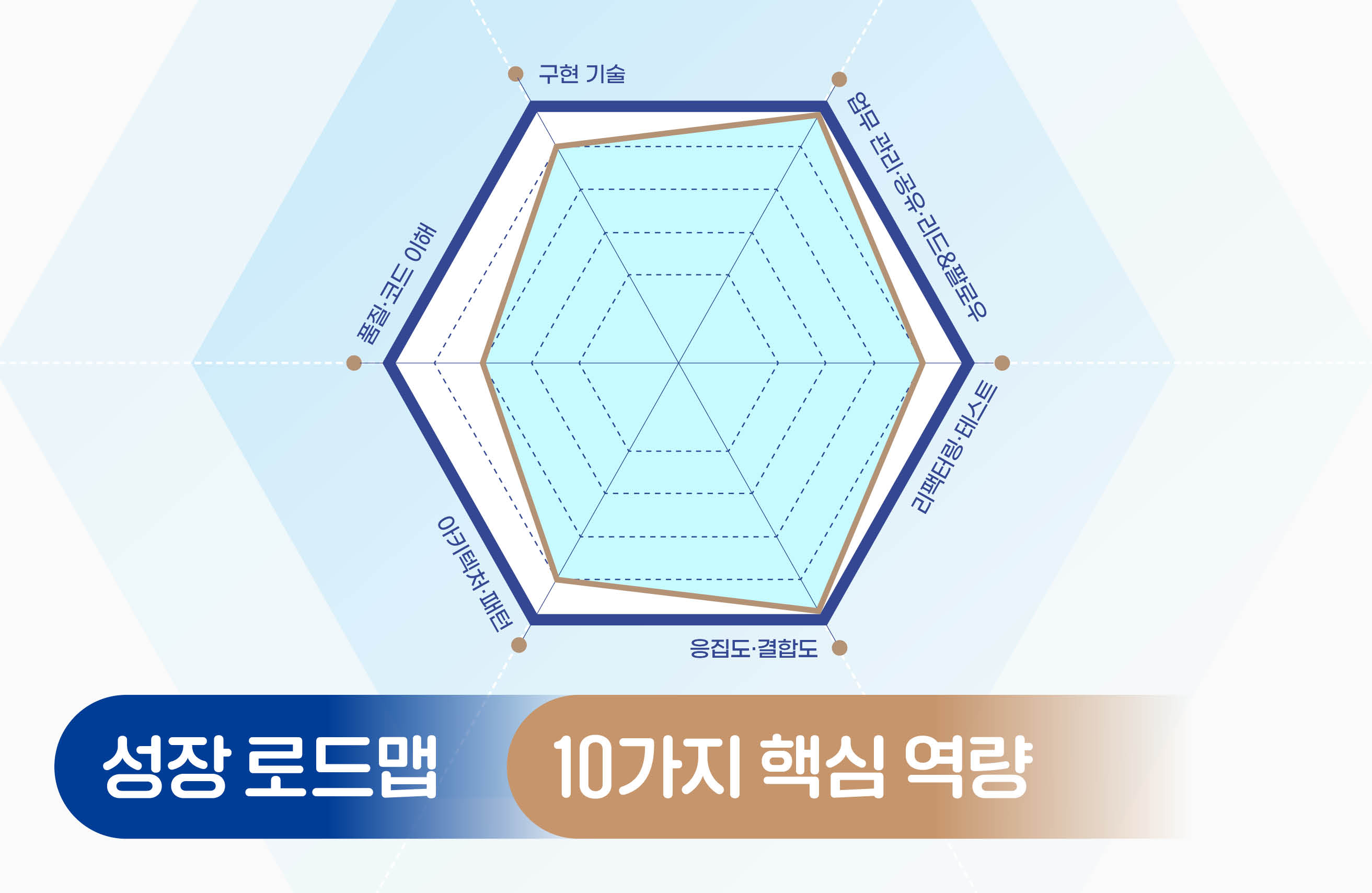 육각형 개발자 플러스